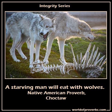 Native American Wolf Quotes Quotesgram