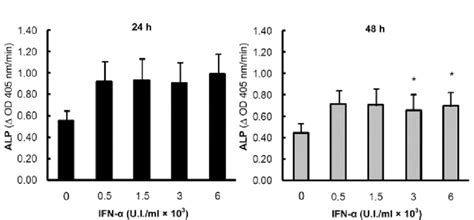 Ifn α Increased Alkaline Phosphatase Alp Activity In A549 Cells A549