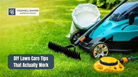 Diy Lawn Care Tips That Actually Work Coldwell Banker American Homes