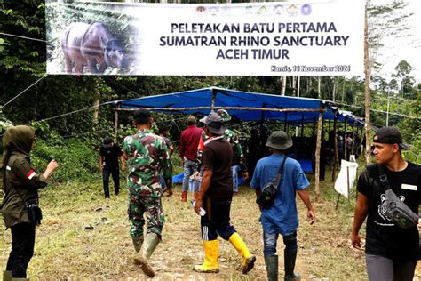 Pembangunan Suaka Badak Sumatera Di Aceh Timur Dimulai Id