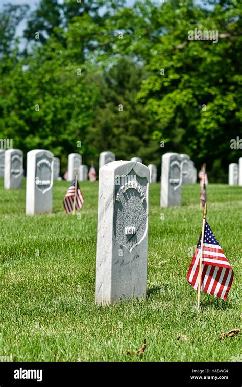 Gravestones With American Flags At Arlington National Cemetery In Fort