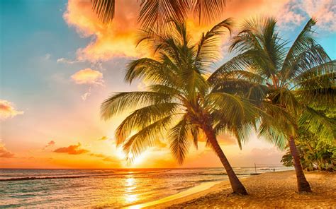 Tropical Paradise Beach Wallpaper For Widescreen Desktop Pc 1680x1050
