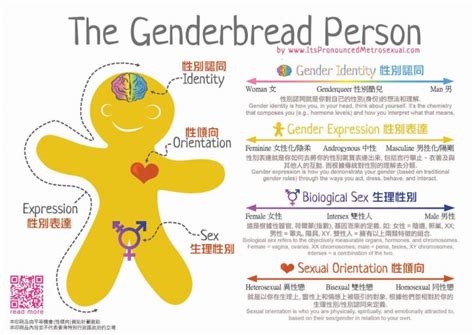 什么是顺性别、跨性别、lgbtq ？「性别认同」到底可以多广泛？ 伦客网