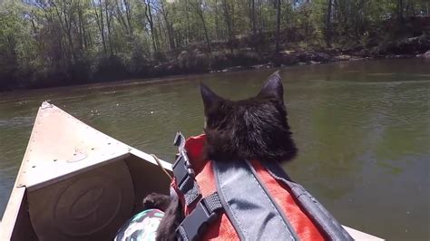 Hiking And Canoeing With Kylo Ren Adventure Cat Youtube