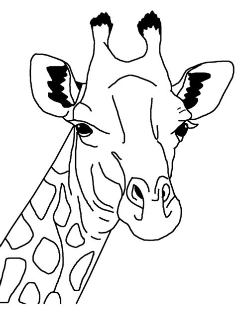 Giraffe coloring page, color a giraffe, color giraffes, girafe, giraffs, girafee, giraffgiraf coloring page, giraffe picturesgiaffe coloring page, griaffe, garaffes. Coloring Pages | Printable Giraffe Coloring Sheet for Kids