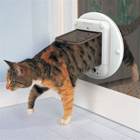 Our new name says it all. Cat Flap Adaptor Kit for Walls and Glass Panels - Pet Mate