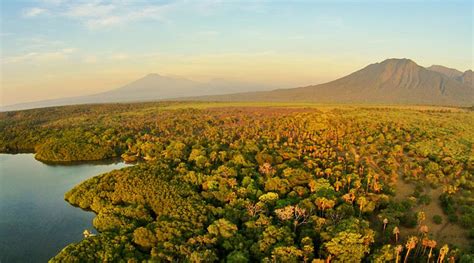 Confira 4.862 avaliações e 12.140 fotos de atrações perto de alas 1 km de alas purwo national park. wahanawisata.com: Padang Savana Afrika di Indonesia, Taman ...