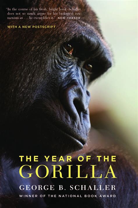 The Year Of The Gorilla Schaller