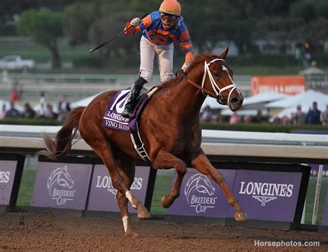 Vino Rosso surges clear in Breeders' Cup Classic