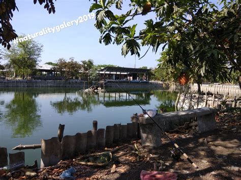 ✓ gratis untuk komersial ✓ tidak perlu kredit ✓ bebas hak cipta. Trip Mancing: Kolam Pancing & Warung Lesehan CSDW, Sidoarjo