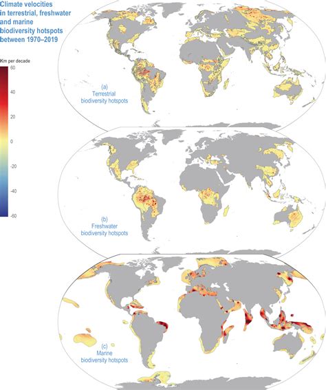 Cross Chapter Paper Biodiversity Hotspots Climate Change