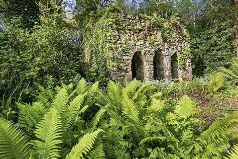 Glin Castle Co Limerick The Garden That Tells The Tale Of A