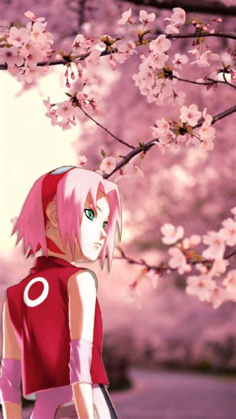Sakura Haruno Wallpaper Hd Enwallpaper