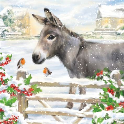 Christmas Cards Spana Charity Shop Every Purchase Helps Working Animals