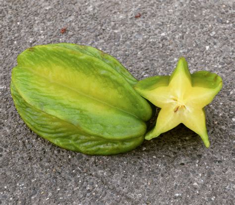 Star Fruit Carambola Averrhoa Carambola Seeds