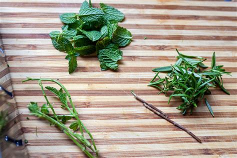 This Tiktok Hack Uses A Box Grater To Strip Herbs From Stems