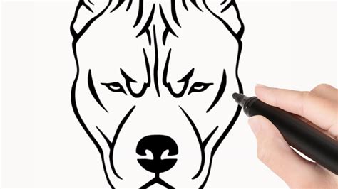 How To Draw A Pitbull Face Easy