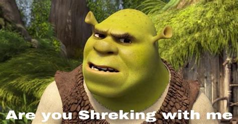 Youve Got To Be Shreking Me Shrek Know Your Meme