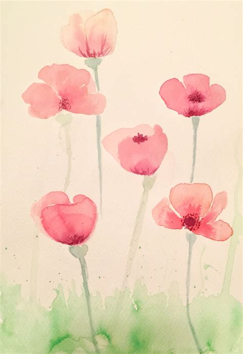 Loose Poppies Watercolor Flowers Paintings Floral Watercolor