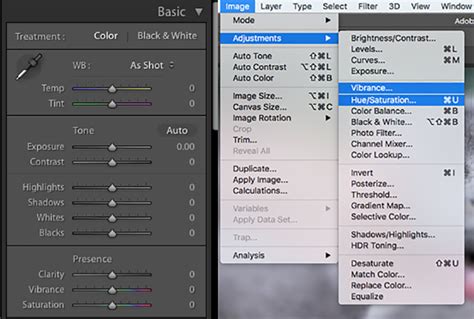 Difference Between Vibrance And Saturation Visitccpa Com