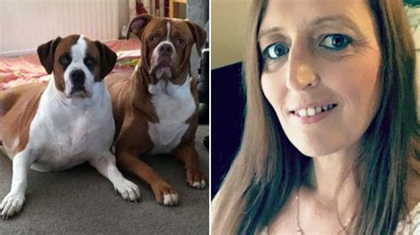Woman Dies After Being Attacked By Two Dogs In Cheshire Uk News Sky