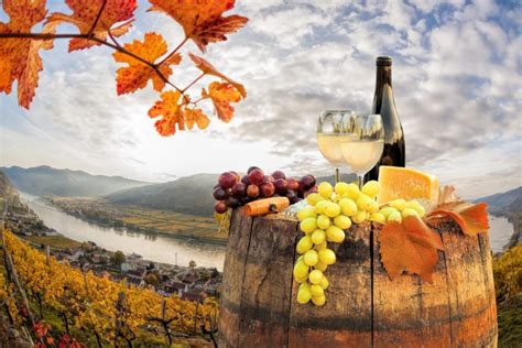 5 Wines To Make The Transition To Fall