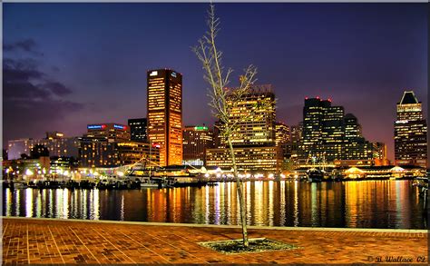 Baltimores Inner Harbor At Night Taken From The South