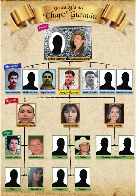 مشاهدة جميع حلقات مسلسل el chapo الموسم الاول. Family tree for Mexico's "El Chapo" Guzman - Narco Confidential