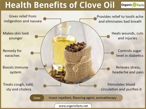 Health Benefits Of Clove Oil Infographic Cloves Benefits Cloves