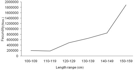 Relationship Between Total Length And Fecundity Of Otolithoides