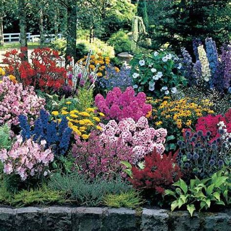 Sometimes you just need a sure thing. 1000+ images about Garden - Perennials (zone 8) on ...
