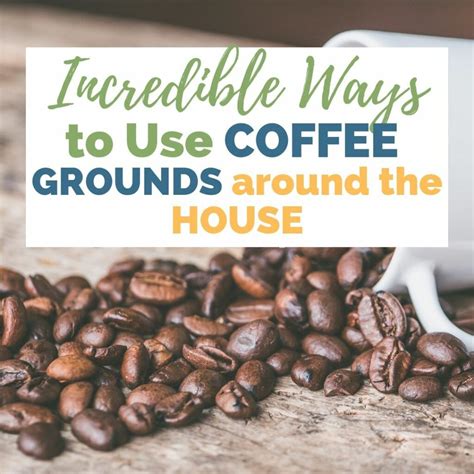 Once a week should suffice until the compost smell increase your carbon a little at a time, and turn as needed, to find the sweet spot. How to get dog smells out of the couch | Uses for coffee ...