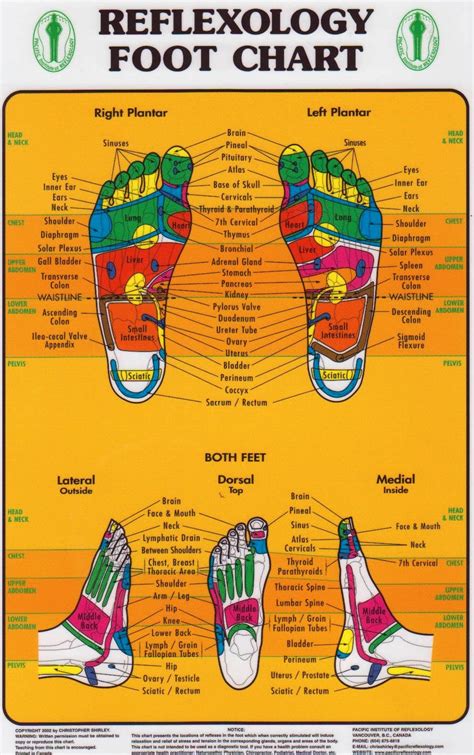 Massage Poster Massage Therapist Foot Reflexology Chart Wrapped Poster
