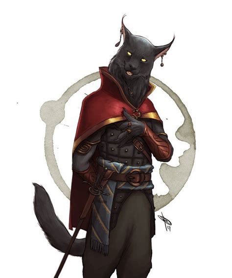 Tabaxi 5e Character Builder Rejazrunning