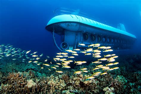 Experience The Wonders Beneath Hawaii S Waves With Atlantis Submarines Hawaii Magazine