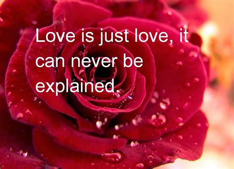 Beautiful Love Quotes For Her With Rose Flower Images Pixhome