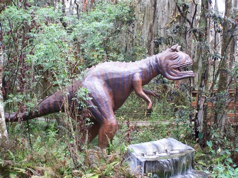 Images Gratuites Jungle Prédateur Reptile Attraction Faune Parc