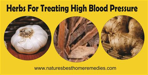 Use Herbs As Alternative High Blood Pressure Treatments