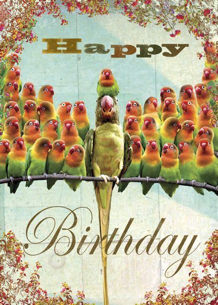 Happy Birthday Parrots Greeting Card By Max Hernn Parrotmemes Happy