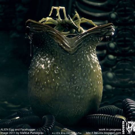 alien egg and facehugger cgi by locusta on deviantart h r giger giger art alien 1979