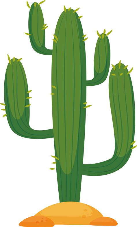 Cactaceae Cactus In The Desert Euclidean Vector Desert Cactus Png