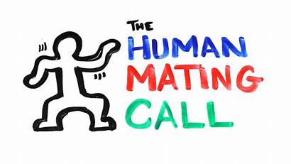 Mating Human Call Positions Asapscience Animal Dancing