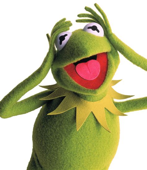 Kermit The Frog The Easy Days Pinterest