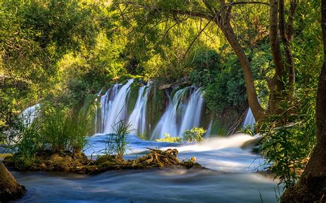 Waterfall Stream Between Green Trees Covered Forest Hd Use The