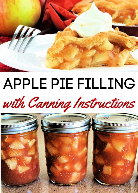 Apple Pie Filling with Canning Instructions | Apple pies filling, Canned apple pie filling ...