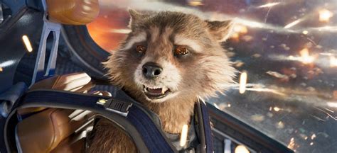 Rocket Raccoons Origin Will Be Further Explored In A Future Marvel Movie