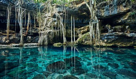 En Los Cenotes No Hay Remolinos Aseguran Buzos De Cavernas Yucatan Ahora