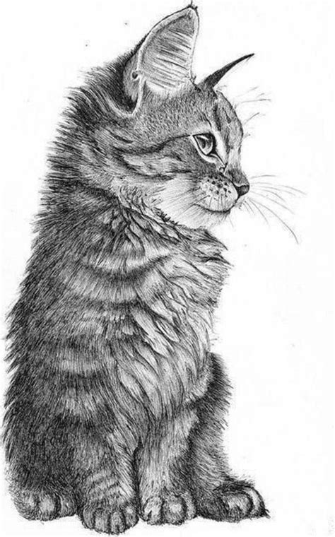 85 Simple And Easy Pencil Drawings Of Animals For Every Beginner 4ab