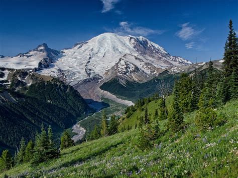The Ultimate Guide To Mount Rainier National Park Travel The Food For