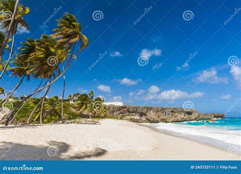 bottom bay beach in barbados stock image image of beauty sunlight 243753711